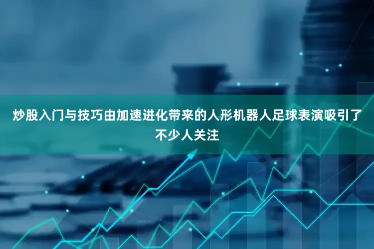 炒股入门与技巧由加速进化带来的人形机器人足球表演吸引了不少人关注