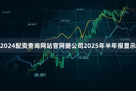 2024配资查询网站官网据公司2025年半年报显示