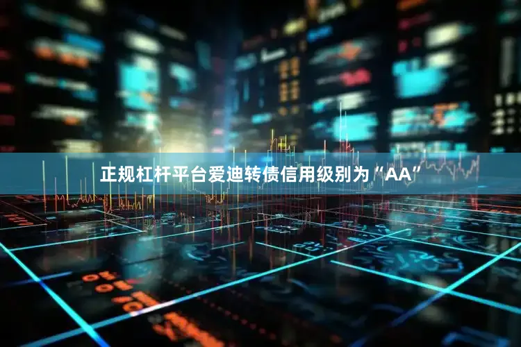 正规杠杆平台爱迪转债信用级别为“AA”